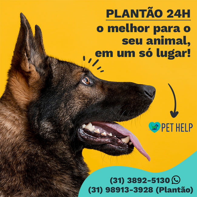 Hospital Médico Veterinário em Viçosa MG