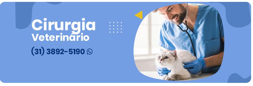 Cirurgia Veterinária em Viçosa MG