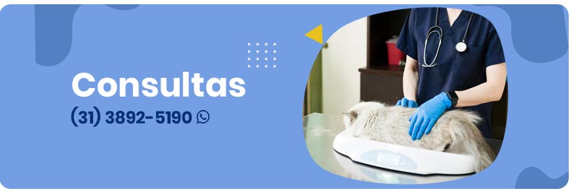 Consultas Veterinárias em Viçosa MG